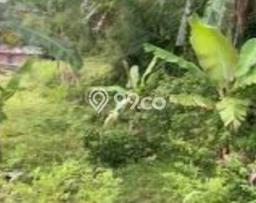 Tanah Dijual di Bogor Seluas 48000m2 Strategis Tanah Dijual di Bogor Seluas 48000m2 Strategis