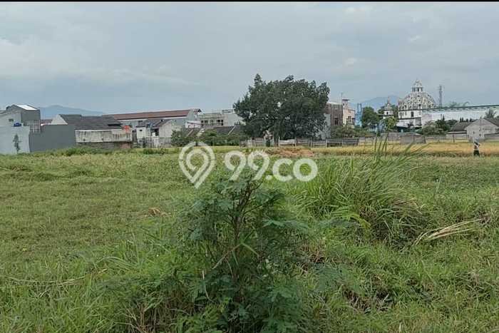 Kavling Tanah Dijual di Jatinangor Sumedang Spesifikasi 112m2 Kavling Tanah Dijual di Jatinangor Sumedang Spesifikasi 112m2