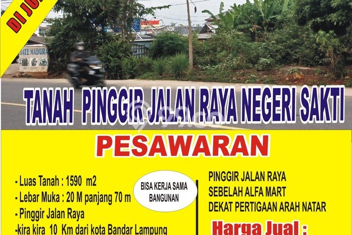 Tanah di Negeri Katon, Pesawaran Luas 1590m2 Dijual Segera Tanah di Negeri Katon, Pesawaran Luas 1590m2 Dijual Segera