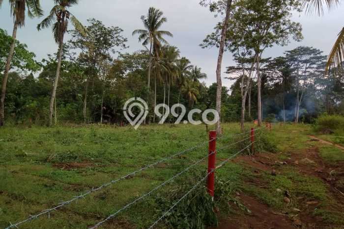 Lahan untuk Dijual Lokasi Negeri Katon, Pesawaran Luas 3800m2 SHM Lahan untuk Dijual Lokasi Negeri Katon, Pesawaran Luas 3800m2 SHM