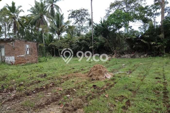 Lahan untuk Dijual Lokasi Negeri Katon, Pesawaran Luas 3800m2 SHM Lahan untuk Dijual Lokasi Negeri Katon, Pesawaran Luas 3800m2 SHM