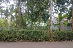 Tanah Komersial Dijual di Karanglewas Banyumas 300m2 Tanah Komersial Dijual di Karanglewas Banyumas 300m2