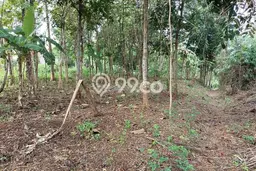 Tanah Kavling untuk Dijual di Purwokerto Purwokerto 798m2 Tanah Kavling untuk Dijual di Purwokerto Purwokerto 798m2