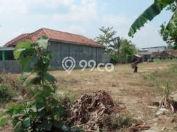 Lahan Dijual Lokasi Wangon, Banyumas dengan Luas Tanah 1316m2 dan Status SHM Lahan Dijual Lokasi Wangon, Banyumas dengan Luas Tanah 1316m2 dan Status SHM