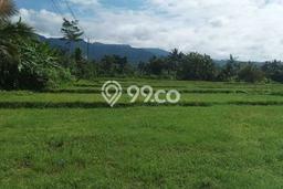 Dijual Tanah di Pekuncen Banyumas Luas 6400m2 SHM Dijual Tanah di Pekuncen Banyumas Luas 6400m2 SHM