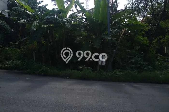 Tanah Dijual Lokasi Ajibarang, Banyumas Luas 2398m2 Legalitas Aman Tanah Dijual Lokasi Ajibarang, Banyumas Luas 2398m2 Legalitas Aman