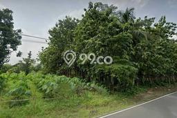Kavling Tanah Dijual di Padamara Purbalingga Spesifikasi 798m2 Kavling Tanah Dijual di Padamara Purbalingga Spesifikasi 798m2