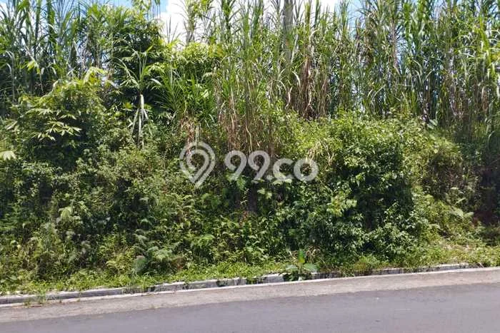 Tanah Kavling di Sumbang Banyumas Disewakan dengan Luas 5000m2 Tanah Kavling di Sumbang Banyumas Disewakan dengan Luas 5000m2