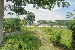 Lahan Strategis di Purwokerto Selatan Dijual dengan Luas 1300m2 Lahan Strategis di Purwokerto Selatan Dijual dengan Luas 1300m2