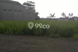 Tanah Dijual Lokasi Sokaraja, Banyumas Luas 5250m2 Legalitas Aman Tanah Dijual Lokasi Sokaraja, Banyumas Luas 5250m2 Legalitas Aman