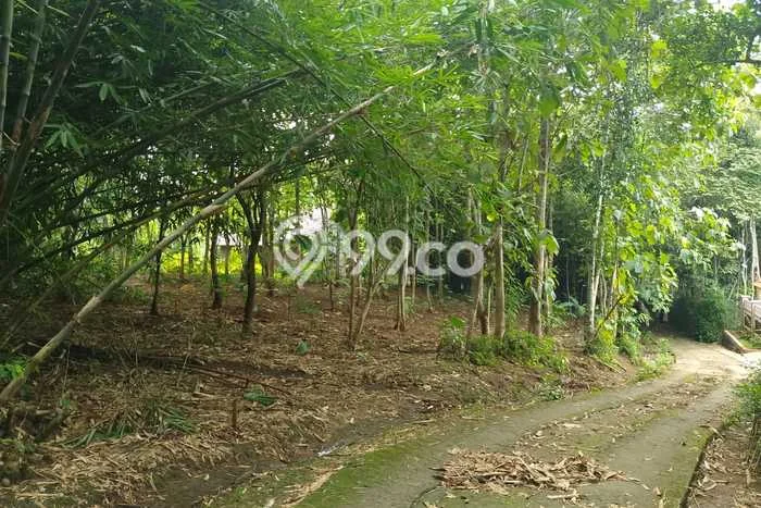Jarang Ada! Tanah di Kalibagor Punya Luas 2175m2 SHM Jarang Ada! Tanah di Kalibagor Punya Luas 2175m2 SHM