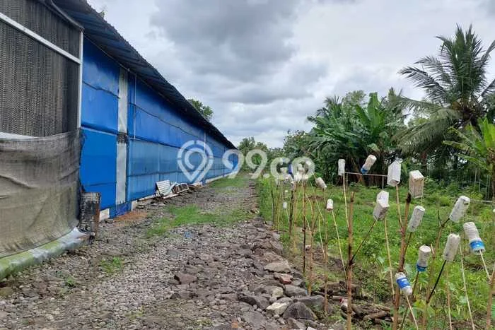 Tanah Kosong Dijual di Banyumas dengan Area 6668m2 Tanah Kosong Dijual di Banyumas dengan Area 6668m2