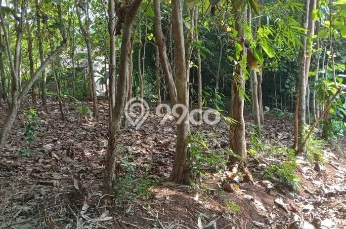 Jarang Ada! Tanah di Kalibagor Punya Luas 2175m2 SHM Jarang Ada! Tanah di Kalibagor Punya Luas 2175m2 SHM