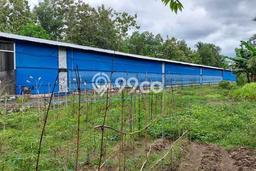 Tanah Kosong Dijual di Banyumas dengan Area 6668m2 Tanah Kosong Dijual di Banyumas dengan Area 6668m2