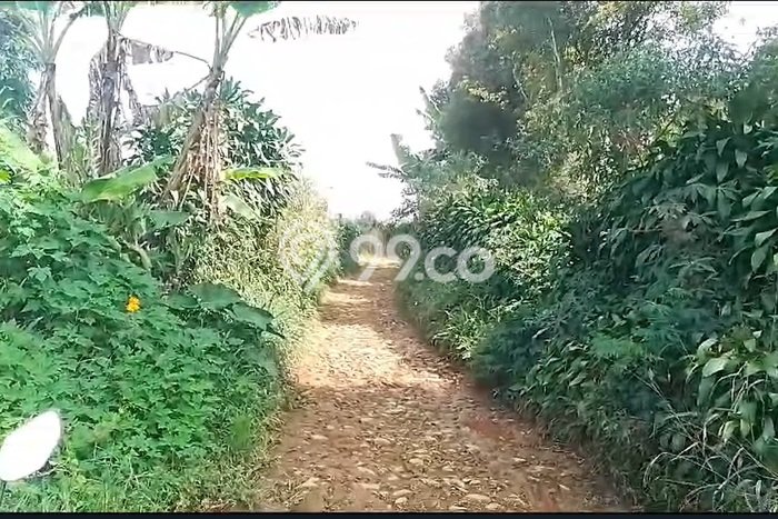 Tanah Kavling di Sukaraja Dijual dengan Luas 530000m2 Tanah Kavling di Sukaraja Dijual dengan Luas 530000m2