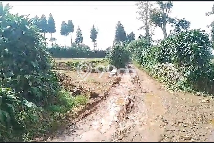 Tanah Kavling di Sukaraja Dijual dengan Luas 530000m2 Tanah Kavling di Sukaraja Dijual dengan Luas 530000m2