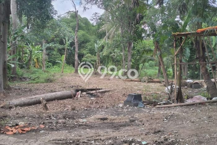 Kavling Tanah Dijual di Balaraja, Tangerang, Luas 1045m2 Area Strategis Kavling Tanah Dijual di Balaraja, Tangerang, Luas 1045m2 Area Strategis
