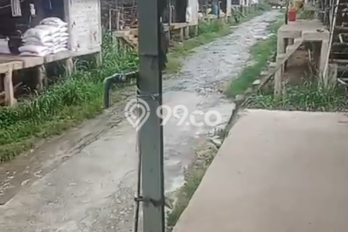 Lahan Investasi Lokasi Rumpin Bogor SHM Lahan Investasi Lokasi Rumpin Bogor SHM