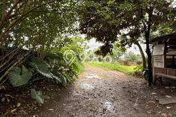 Dijual Tanah di Sawangan Depok Luas 80000m2 SHM Dijual Tanah di Sawangan Depok Luas 80000m2 SHM