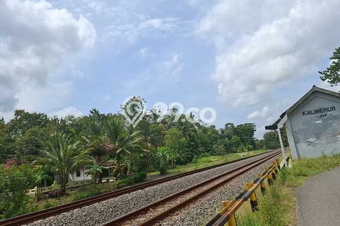 Dijual Tanah Lokasi Kulonprogo, Yogyakarta Seluas 800m2 Dijual Tanah Lokasi Kulonprogo, Yogyakarta Seluas 800m2