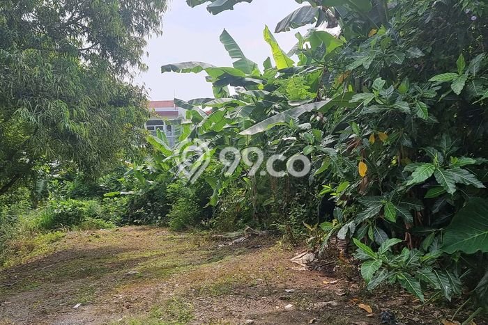 Tanah Dijual Lokasi Semarang Selatan Semarang SHM Tanah Dijual Lokasi Semarang Selatan Semarang SHM