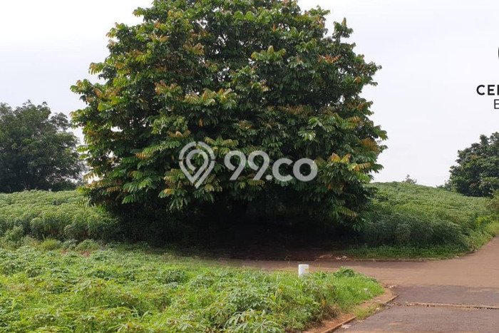 Tanah Dijual Lokasi Bogor Selatan, Bogor dengan Luas Tanah 1309m2 dan Status SHM Tanah Dijual Lokasi Bogor Selatan, Bogor dengan Luas Tanah 1309m2 dan Status SHM