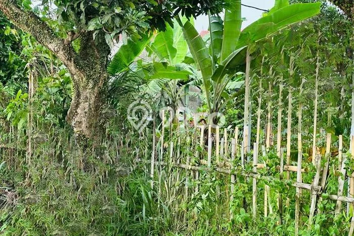 Kavling Tanah Dijual di Cilodong Depok Spesifikasi 906m2 Kavling Tanah Dijual di Cilodong Depok Spesifikasi 906m2