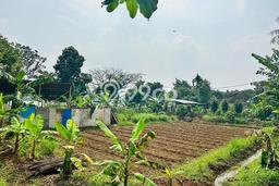 Kavling Tanah Dijual di Cilodong Depok Spesifikasi 906m2 Kavling Tanah Dijual di Cilodong Depok Spesifikasi 906m2