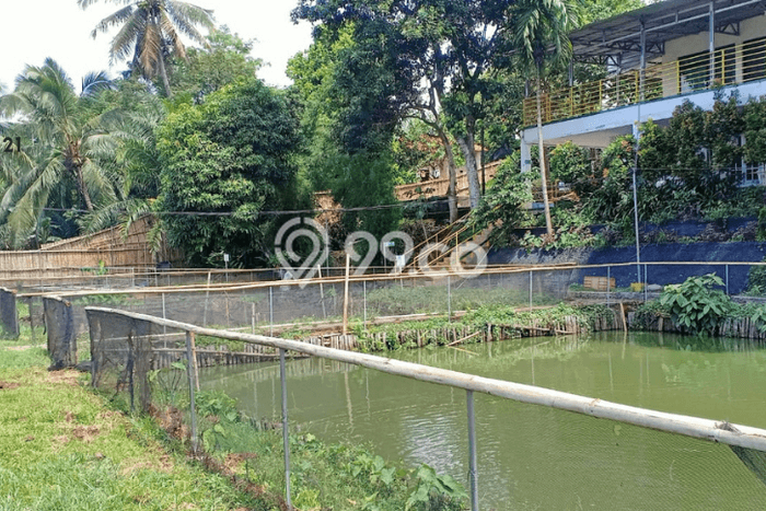 Rumah Mewah Dijual LT 500m2 di Ciseeng, Bogor Rumah Mewah Dijual LT 500m2 di Ciseeng, Bogor