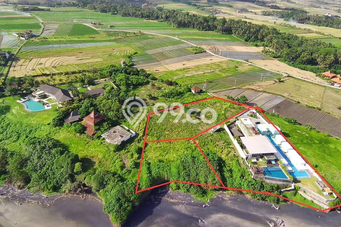 Untuk Dijual Tanah di Tabanan, Luas 10000m2 SHM Untuk Dijual Tanah di Tabanan, Luas 10000m2 SHM