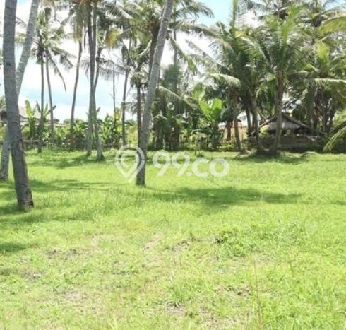 Tanah Investasi Dijual di Badung Punya Luas 7855m2 Tanah Investasi Dijual di Badung Punya Luas 7855m2