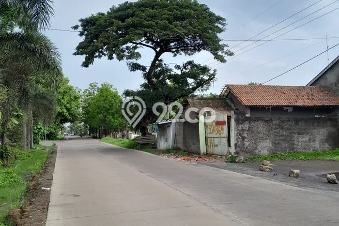 Unit Gudang Disewa Lokasi Plumbon, Cirebon Spesifikasi Luas Bangunan 850m2 Unit Gudang Disewa Lokasi Plumbon, Cirebon Spesifikasi Luas Bangunan 850m2