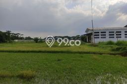 Untuk Dijual Tanah di Kedawung Cirebon Luas 390m2 SHM Untuk Dijual Tanah di Kedawung Cirebon Luas 390m2 SHM