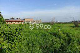 Tanah Dijual Lokasi Kedawung, Cirebon Luas 300m2 Legalitas Aman Tanah Dijual Lokasi Kedawung, Cirebon Luas 300m2 Legalitas Aman