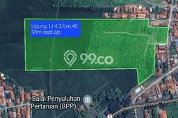 Tanah untuk Dijual Lokasi Ligung, Majalengka Luas 43000m2 SHM Tanah untuk Dijual Lokasi Ligung, Majalengka Luas 43000m2 SHM