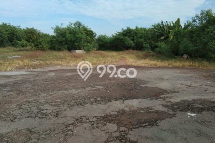 Tanah untuk Dijual Lokasi Ligung, Majalengka Luas 43000m2 SHM Tanah untuk Dijual Lokasi Ligung, Majalengka Luas 43000m2 SHM