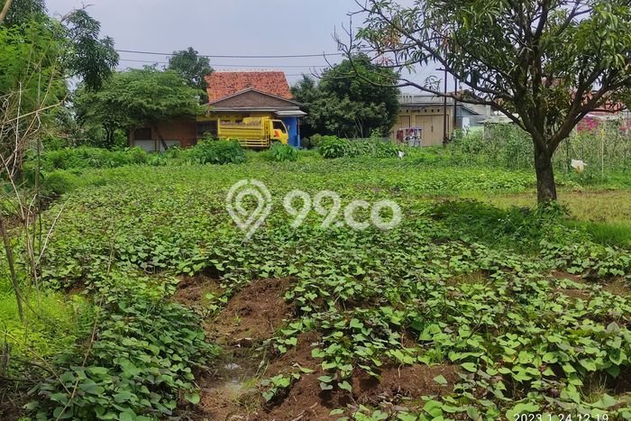 Kavling Tanah Dijual di Harjamukti Cirebon Spesifikasi 1445m2 Kavling Tanah Dijual di Harjamukti Cirebon Spesifikasi 1445m2