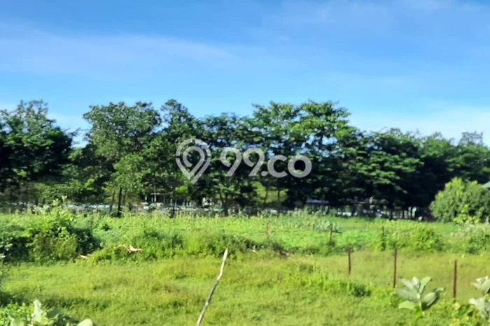 Lahan Kosong Dijual di Cirebon dengan Area 2330m2 Lahan Kosong Dijual di Cirebon dengan Area 2330m2