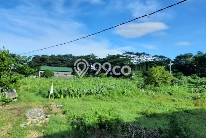 Lahan Kosong Dijual di Cirebon dengan Area 2330m2 Lahan Kosong Dijual di Cirebon dengan Area 2330m2