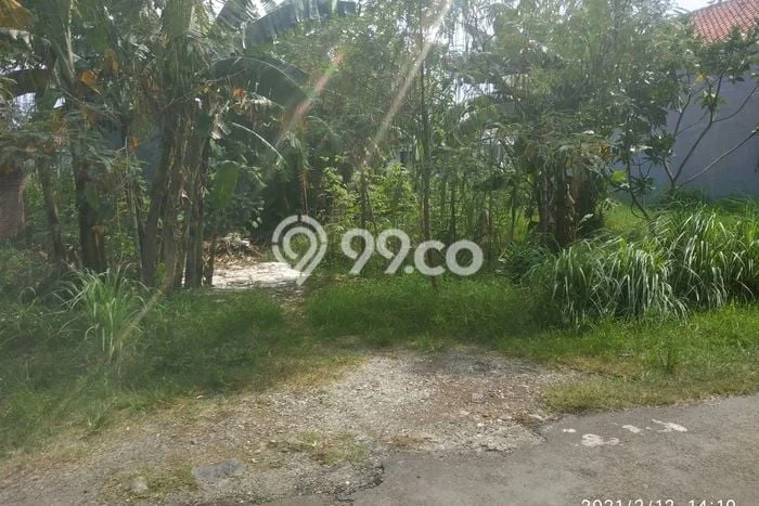 Lahan untuk Dijual di Kedawung Cirebon Luas 302m2 Lahan untuk Dijual di Kedawung Cirebon Luas 302m2
