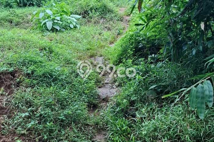 Lahan Investasi Lokasi Kuningan Kuningan SHM Lahan Investasi Lokasi Kuningan Kuningan SHM