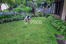 For Sale Rumah Mewah Exclusive di Kesambi, Cirebon For Sale Rumah Mewah Exclusive di Kesambi, Cirebon