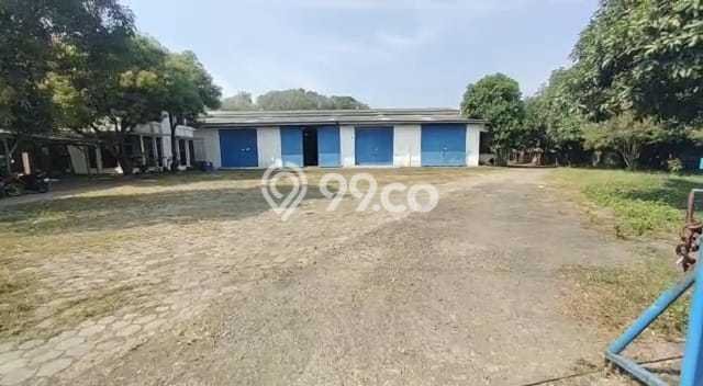 Unit Gudang Dijual di Palimanan Cirebon Luas Tanah 9846m2, Luas Bangunan 6000m2 Unit Gudang Dijual di Palimanan Cirebon Luas Tanah 9846m2, Luas Bangunan 6000m2
