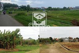 Tanah Investasi Dijual di Cirebon Punya Luas 983m2 Tanah Investasi Dijual di Cirebon Punya Luas 983m2