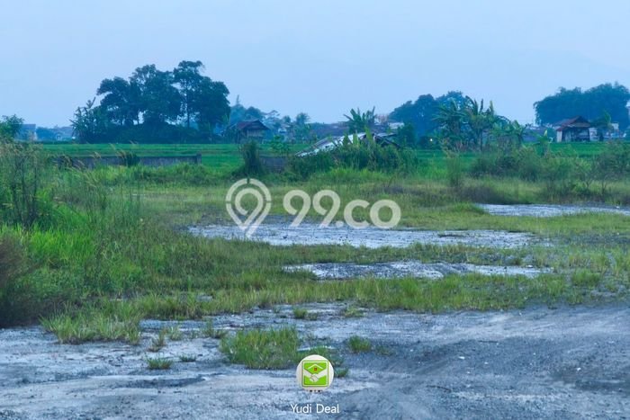 Kavling Tanah Dijual di Mangkubumi, Tasikmalaya, Luas 6000m2 Area Strategis Kavling Tanah Dijual di Mangkubumi, Tasikmalaya, Luas 6000m2 Area Strategis
