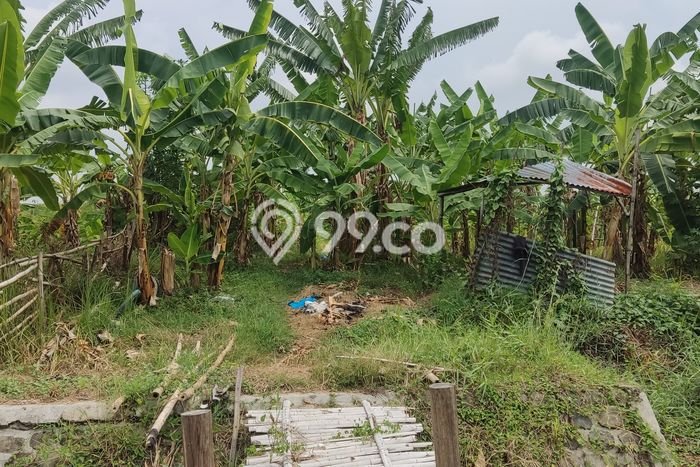 Kavling Tanah di Karangwareng Dijual Luas 9696m2 Legalitas SHM Kavling Tanah di Karangwareng Dijual Luas 9696m2 Legalitas SHM