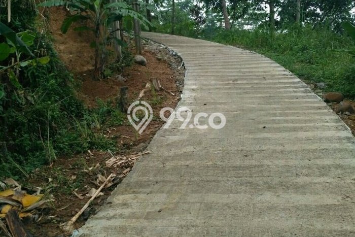 Tanah Kavling Dijual di Bogor dengan Spesifikasi 1917m2 Tanah Kavling Dijual di Bogor dengan Spesifikasi 1917m2