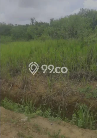Tanah Dijual Area Strategis di Banjar Baru Banjar Baru 360000m2 Tanah Dijual Area Strategis di Banjar Baru Banjar Baru 360000m2
