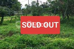 For Sale Tanah Kawasan Bojong Sari, Luas 9260m², Lokasi Potensial For Sale Tanah Kawasan Bojong Sari, Luas 9260m², Lokasi Potensial