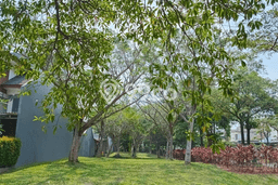 Tanah Kavling Dijual di BSD Avani, Tangerang dengan Luas Tanah 217m2 Tanah Kavling Dijual di BSD Avani, Tangerang dengan Luas Tanah 217m2